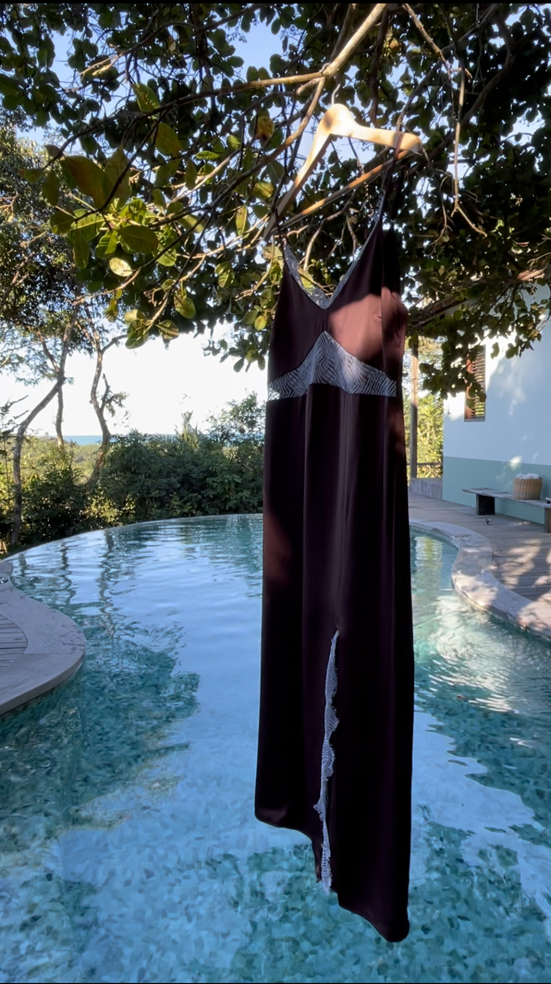 brown dress hanging from the tree over a pool